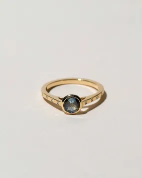 Calatrava Ring - Blue Sapphire