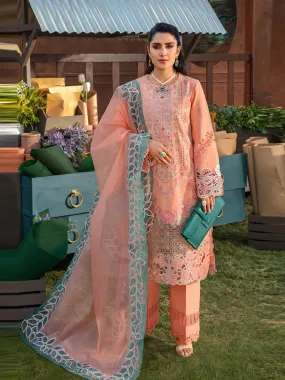 Chikankari Lawn Embroidery