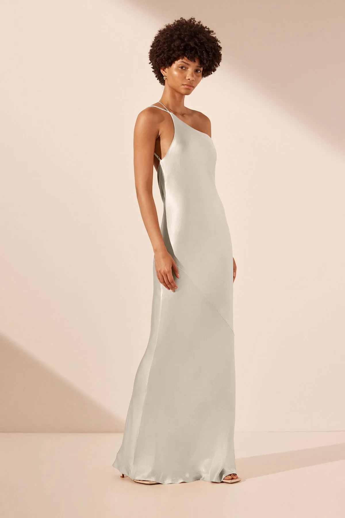 LA LUNE ONE SHOULDER COWL BACK MAXI DRESS - SILVER